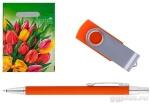 Ручка и флешка в пакете, цвет на выбор