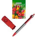 Набор: ручка металлическая серебро/красный и флешка красный в подарочном п/э пакете