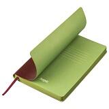 Ежедневник недатированный, Portobello Trend, River side, 145х210, 256 стр, коричневый/салатовый Коричневый