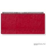 Планинг датированный Небраска, Eletto, красный