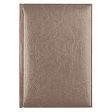 Ежедневник недатированный Birmingham 145х205 мм, без календаря, с лого AvD, пепельный металлик Серый