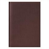 Ежедневник недатированный City Canyon 145х205 мм, без календаря, коричневый Коричневый